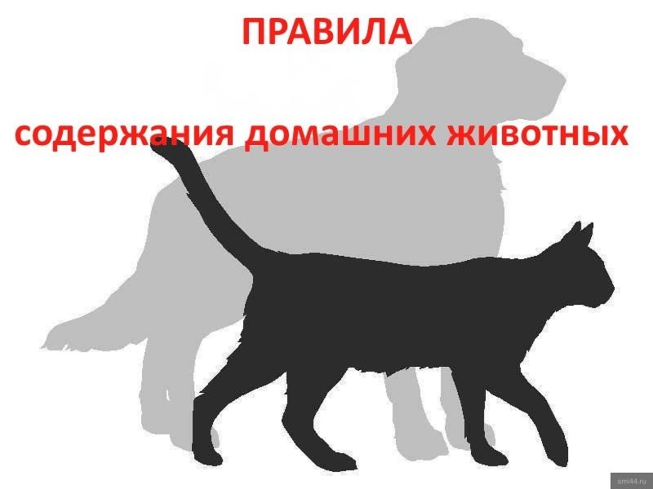 Правила содержания животных.