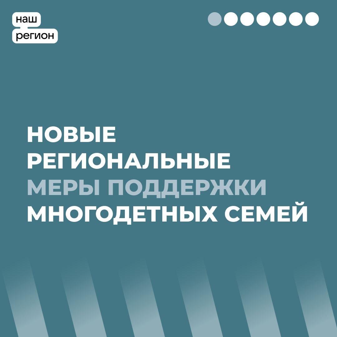 В Ульяновской области расширили перечень мер поддержки многодетных семей.