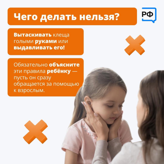 В России проснулись клещи.. В России проснулись клещи..